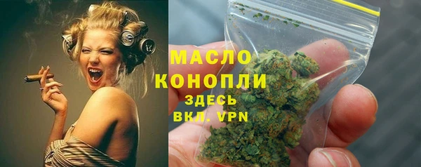индика Елабуга