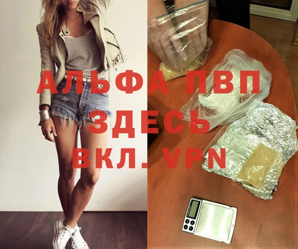 индика Елабуга