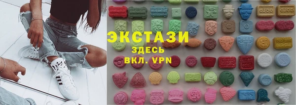 индика Елабуга