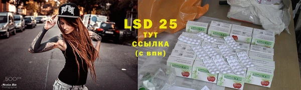 ешки Ельня