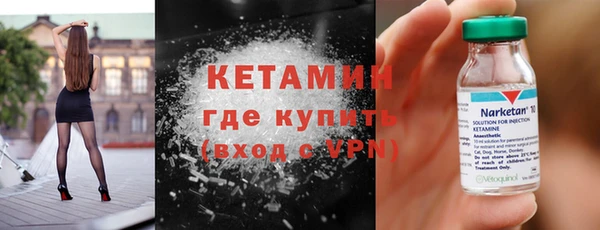 индика Елабуга