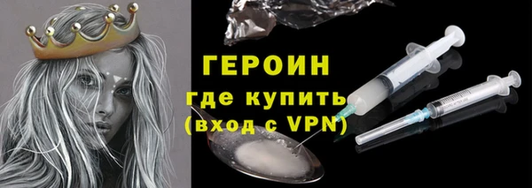 индика Елабуга