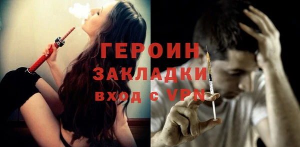 индика Елабуга