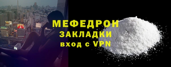индика Елабуга