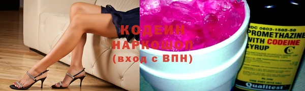 ешки Ельня