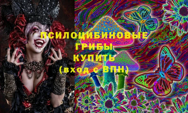 индика Елабуга