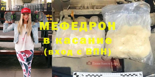 индика Елабуга