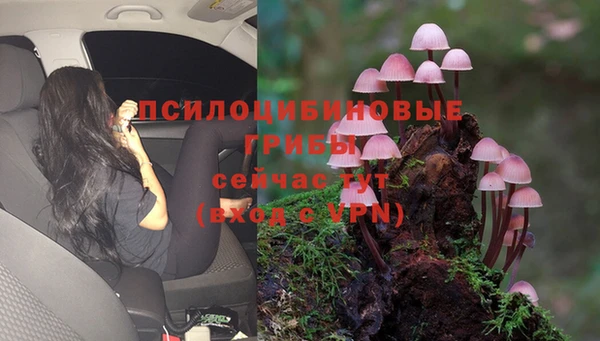 ешки Ельня
