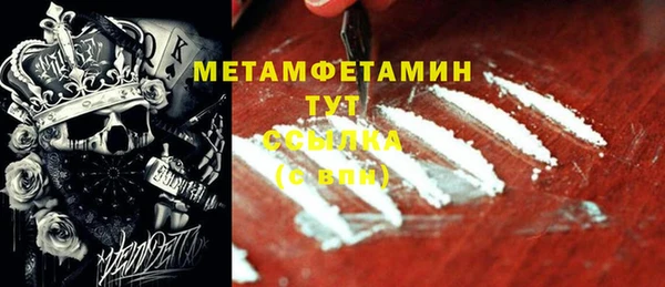 индика Елабуга
