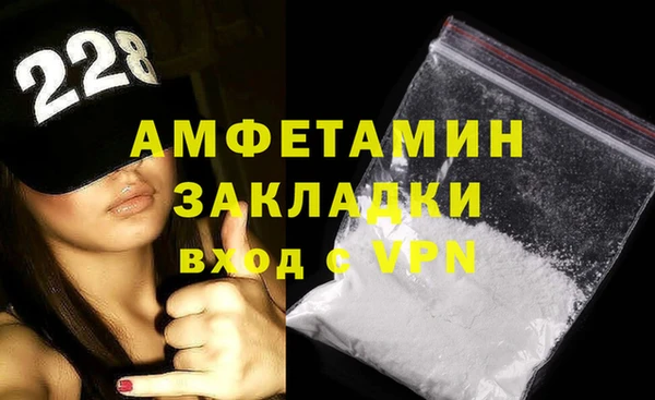 индика Елабуга