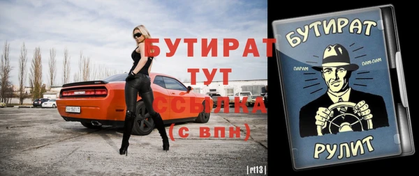 индика Елабуга