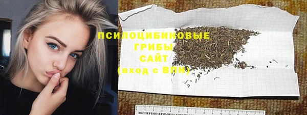 ешки Ельня