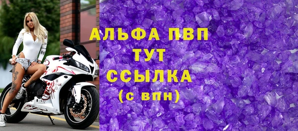 индика Елабуга